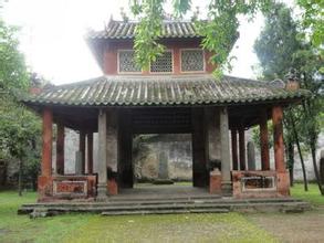 ����ͤ������������