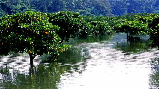 �t��(sh��)�� �V���������ξW(w��ng)