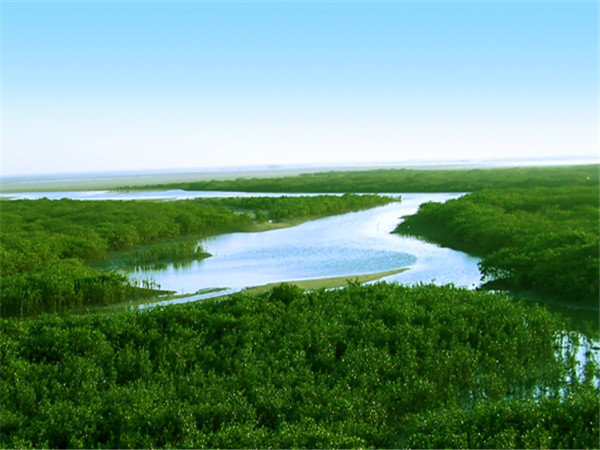 �t��(sh��)�� �������ξW(w��ng)