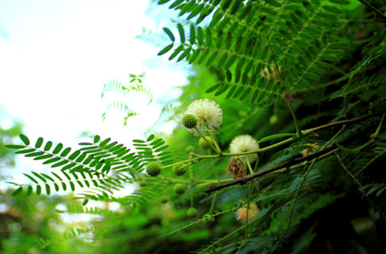 ���ލu �V������������