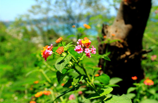 Ұ�� �V������������