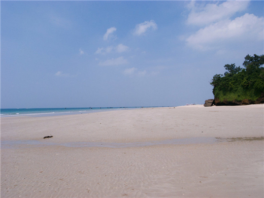 ɳ�� �V������������