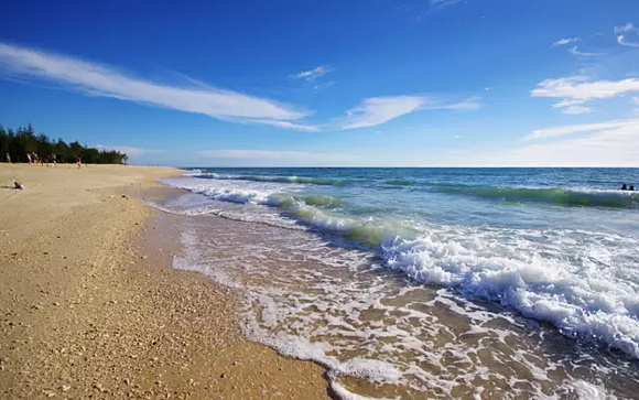 �V������������ �������ξW(w��ng)