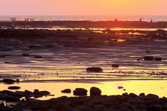 �V������������ �V���������ξW(w��ng)