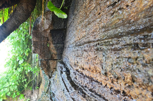 �V������������ ���ލu