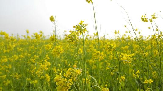 �V������������ �����Ͳ˻�