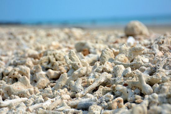 �V������������ ������ҵĳ���