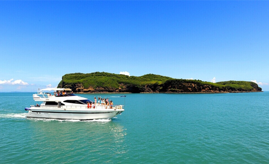 �V������������ ���ލu