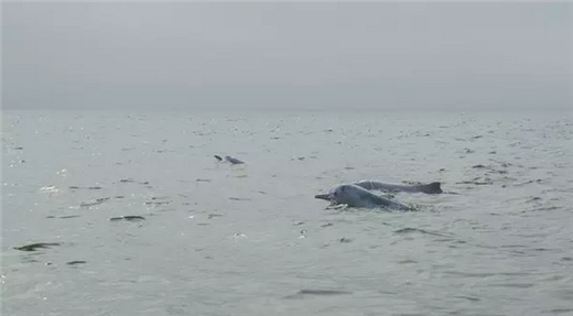 �V������������ ����