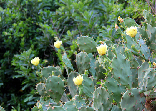 ���ލu �V������������