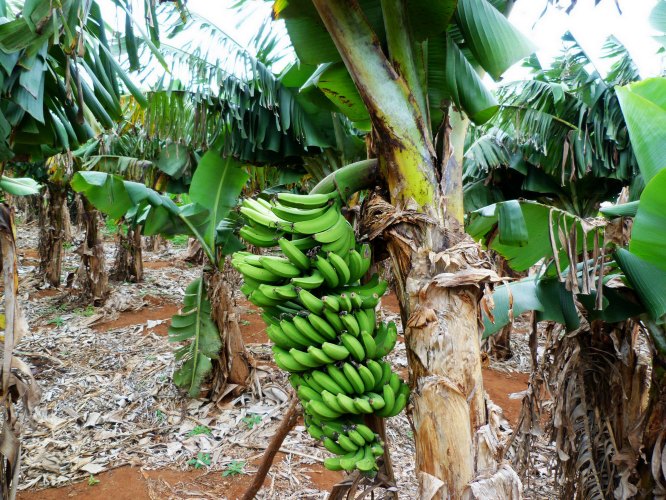 �V������������ ���ލu����