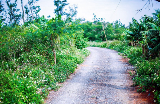 �V������������ ���ލu����