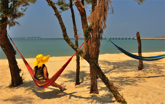 �V������������ ���ލu����