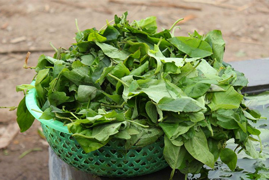 �V������������