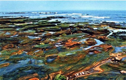 �V������������ ���ލu��ʞ�