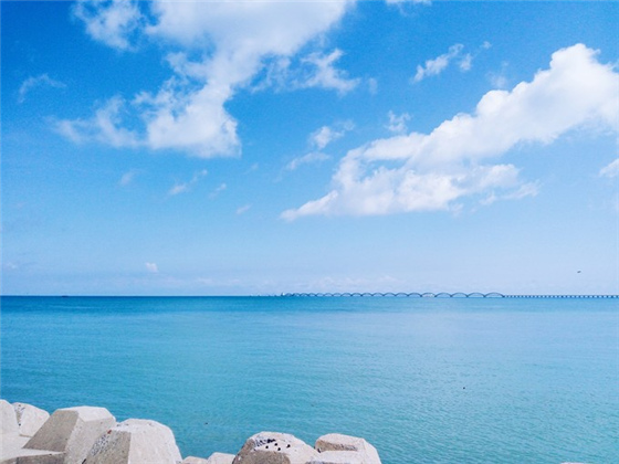 �V������������ ���ލu���ι���