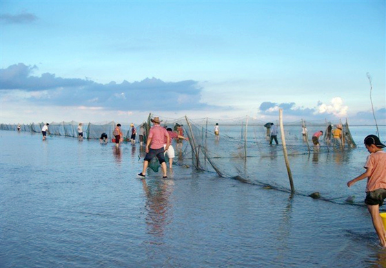 �V������������ ��������