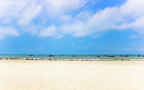 �V������������ �������ι���