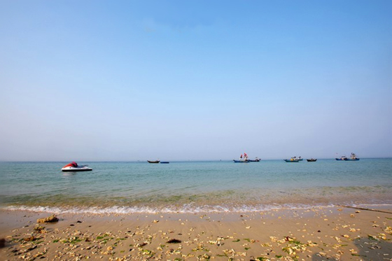 �����������V���������ξW(w��ng)