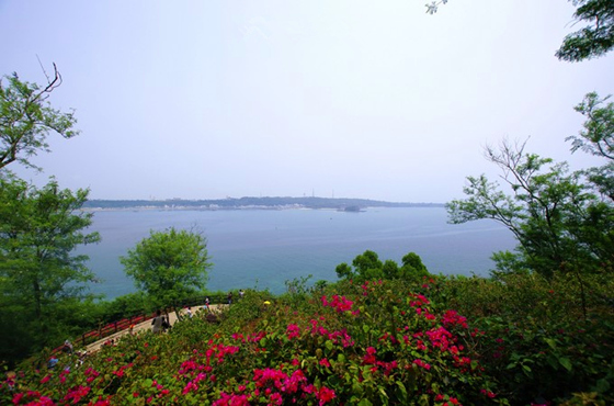 �����������V���������ξW(w��ng)