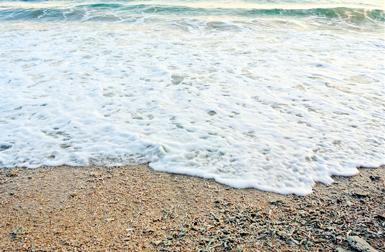 �������Σ��V���������ξW(w��ng)