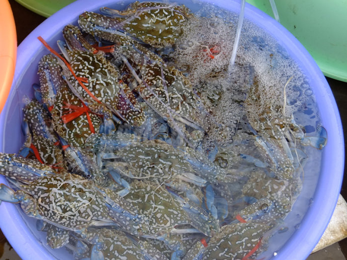 �������ι������V���������ξW(w��ng)