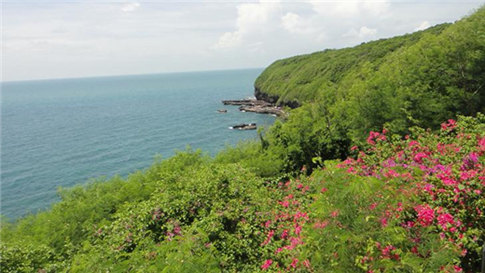 �����������V������������