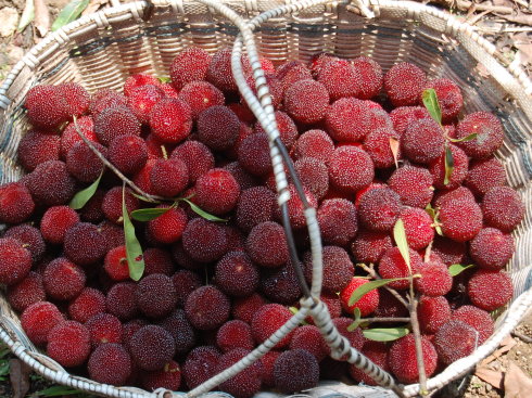 �����������V������������