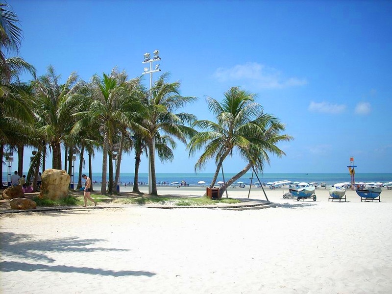 �V������������ �����y��