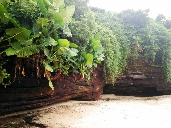 ���ލu���V���������ξW(w��ng)