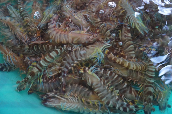 ���ލu���V���������ξW(w��ng)