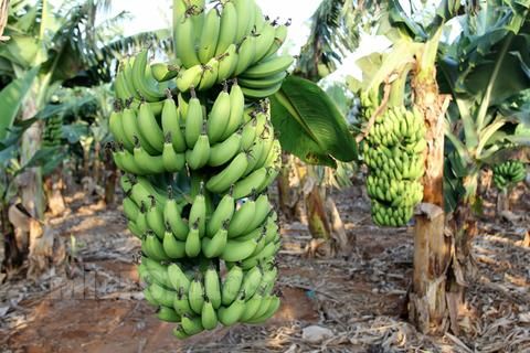 ���ލu���V���������ξW(w��ng)