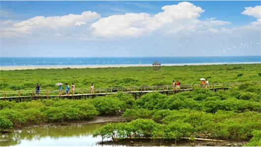 �����������V������������