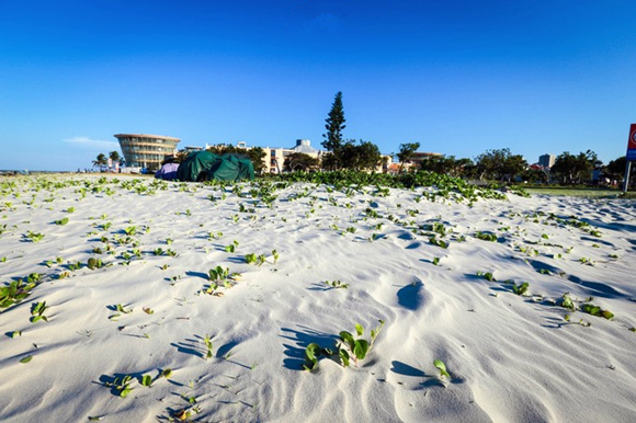 �����������V������������