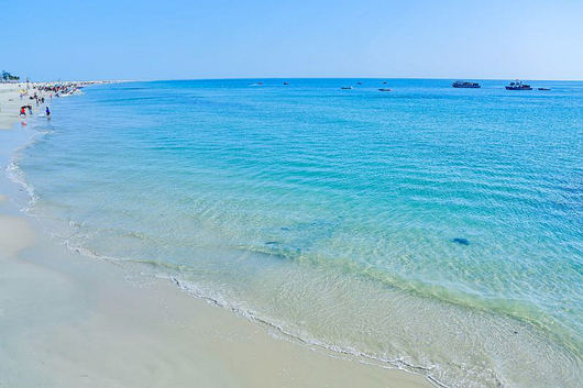 �������ލu���V������������