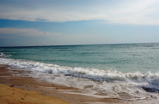 �������ލu���V������������