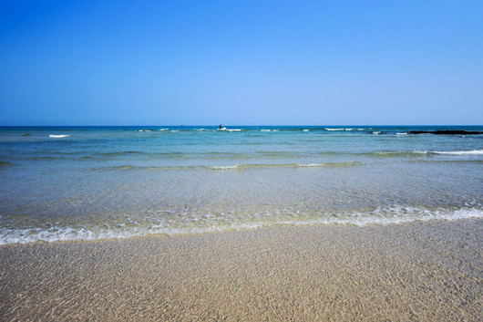 ���������ލu���V������������