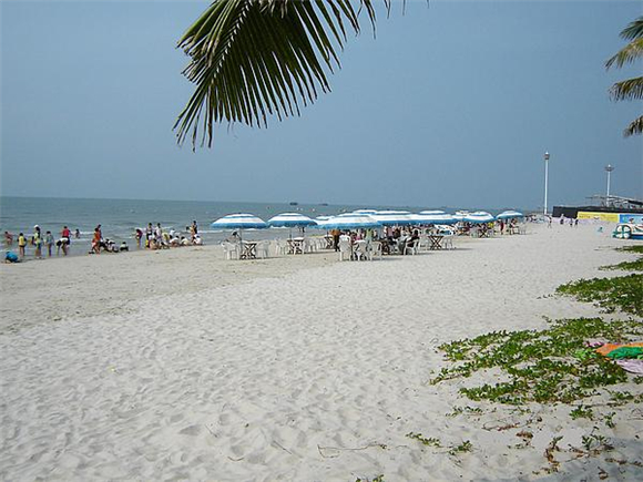 �����������V������������