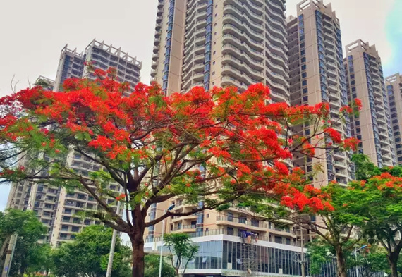 �����������V������������