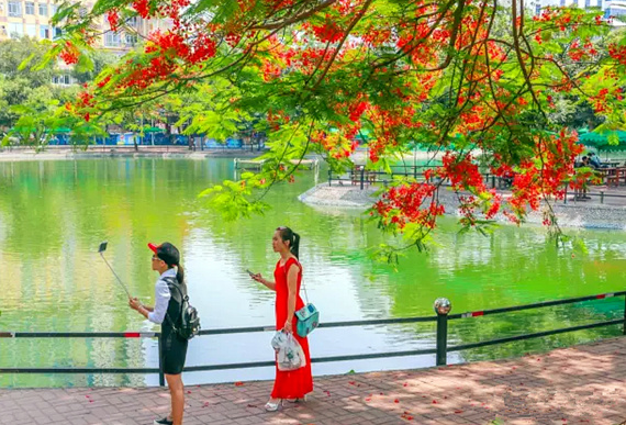 �����������V������������