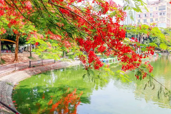 �����������V������������