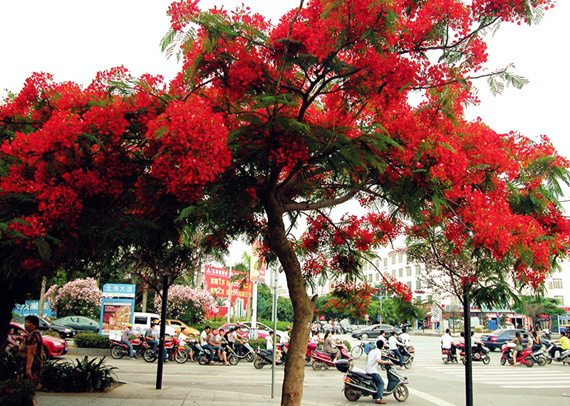 �������Σ��V������������