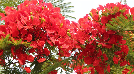 �����������V������������