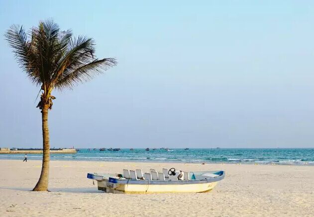 ���ލu�������V������������