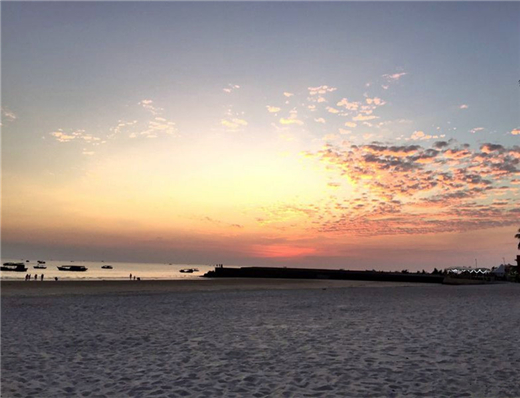 ���ލu�������V������������