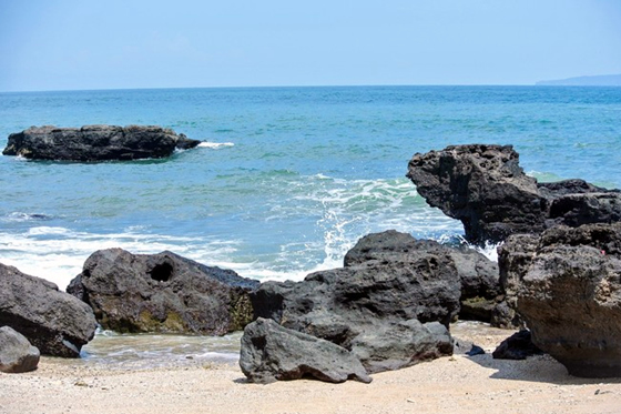 ���ލu�������V������������