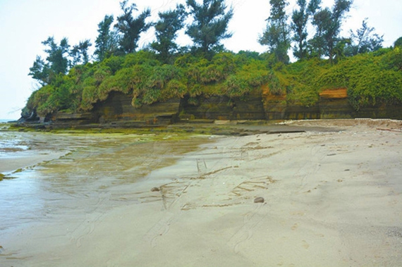 �������ލu���V������������