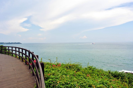 �������������ލu���V������������