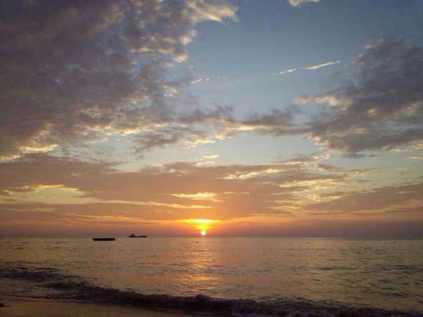 �������������ލu���V������������