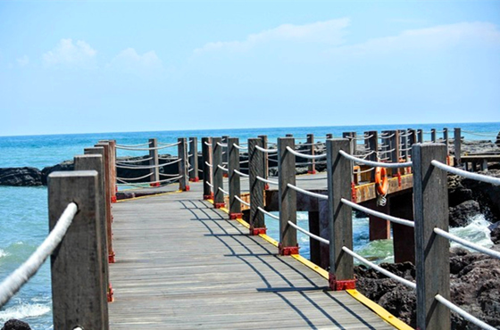 �������������ލu���V������������